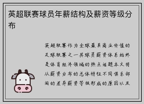 英超联赛球员年薪结构及薪资等级分布